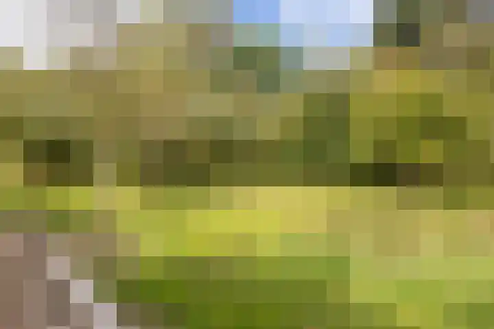 Hagdijk 3 Neede thumbnail 62