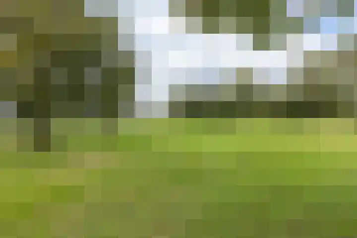 Hagdijk 3 Neede thumbnail 63