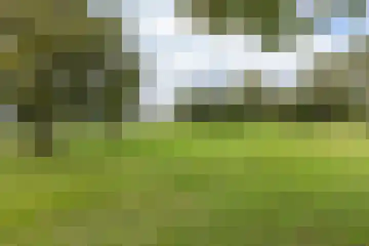 Hagdijk 3 Neede thumbnail 64