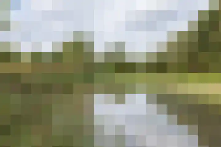 Hagdijk 3 Neede thumbnail 65