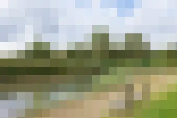 Hagdijk 3 Neede thumbnail 66