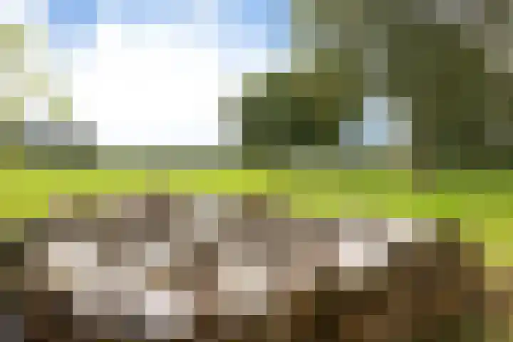Hagdijk 3 Neede thumbnail 67