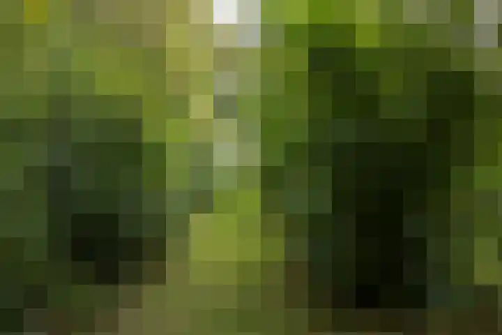 Hagdijk 3 Neede thumbnail 68