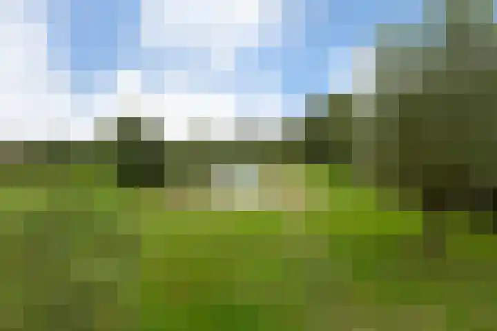 Hagdijk 3 Neede thumbnail 69