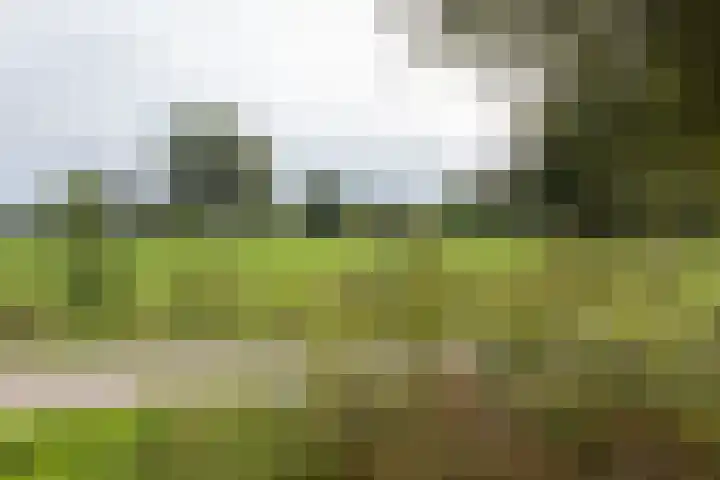 Hagdijk 3 Neede thumbnail 70