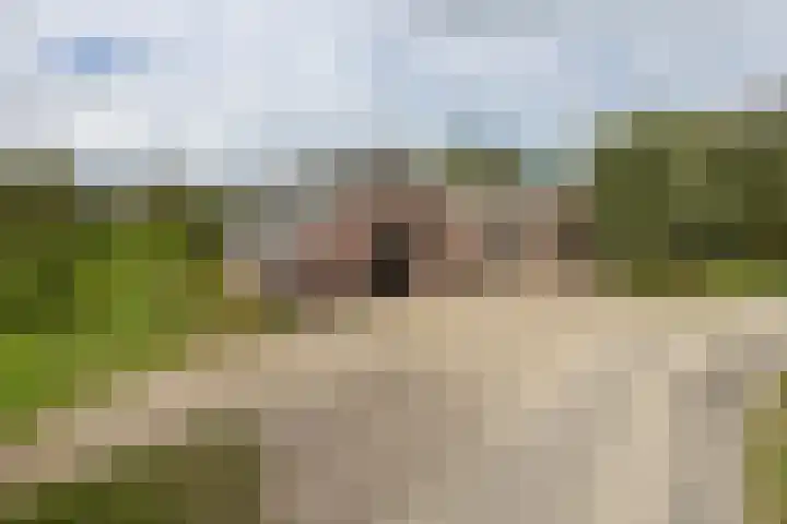 Hagdijk 3 Neede thumbnail 71