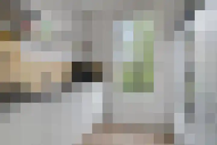 Hageheld 37 Someren thumbnail 18