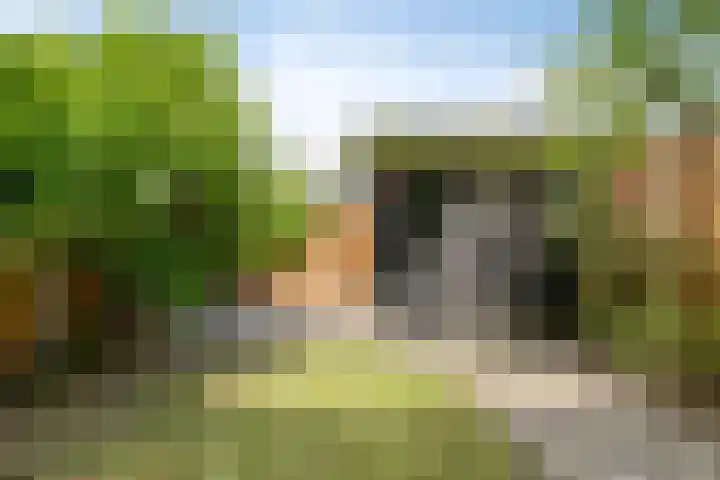 Hageheld 37 Someren thumbnail 5
