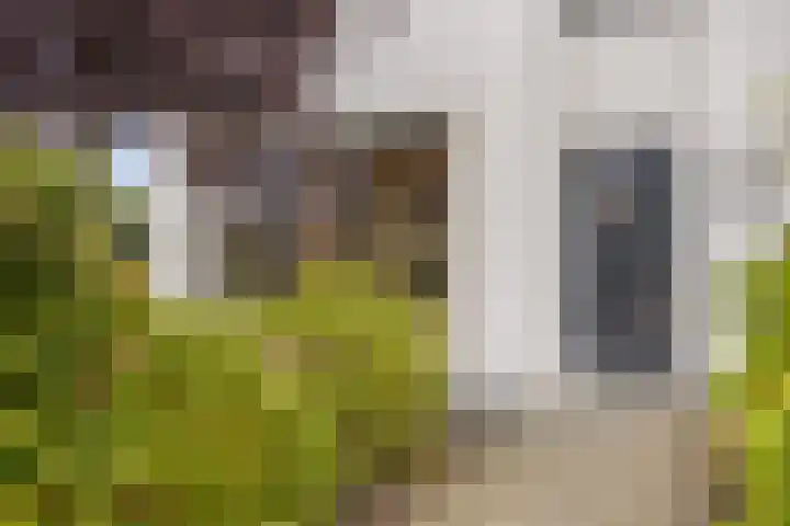 Hageheld 7 Someren thumbnail 11