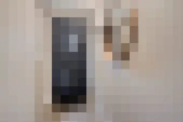 Hageheld 7 Someren thumbnail 13