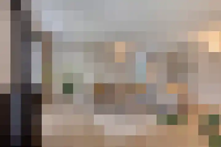 Hageheld 7 Someren thumbnail 17