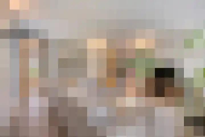 Hageheld 7 Someren thumbnail 18