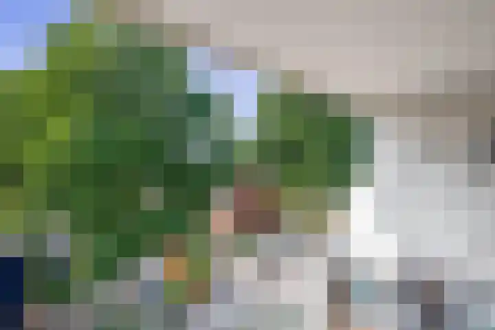 Hageheld 7 Someren thumbnail 44