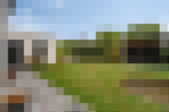 Hageheld 7 Someren thumbnail 54