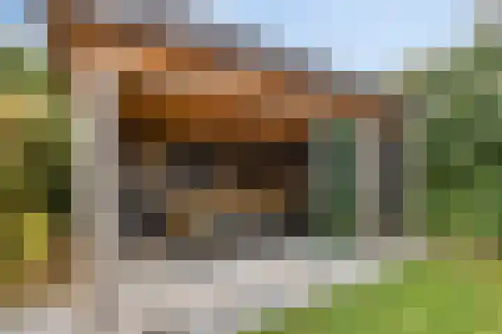 Hageheld 7 Someren thumbnail 56