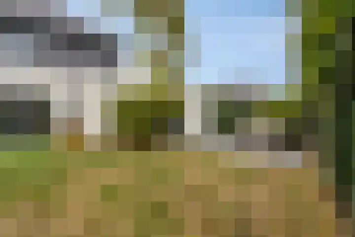 Hageheld 7 Someren thumbnail 57