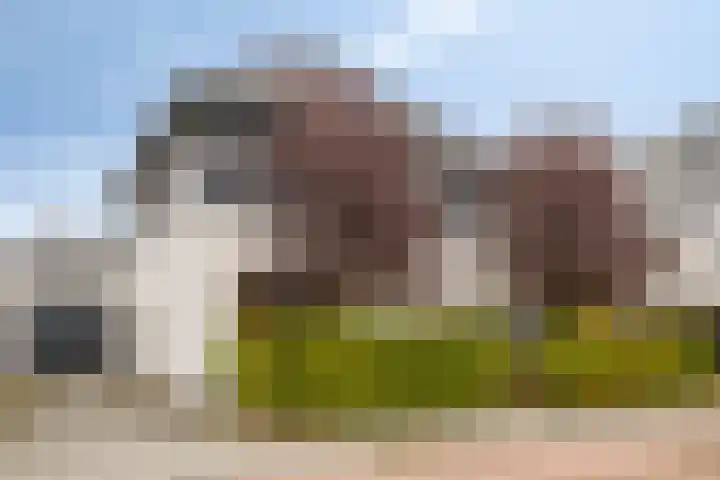 Hageheld 7 Someren thumbnail 8