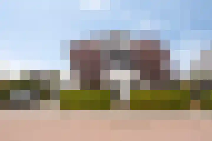 Hageheld 7 Someren thumbnail 9