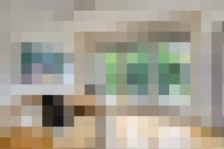 Hageheldlaan 74 Eindhoven thumbnail 12