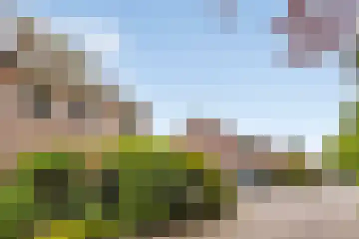 Hageheldlaan 74 Eindhoven thumbnail 32