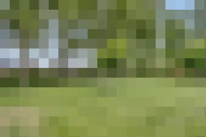 Hageheldlaan 74 Eindhoven thumbnail 34