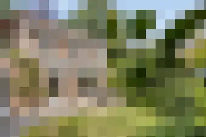 Hageheldlaan 74 Eindhoven thumbnail 4