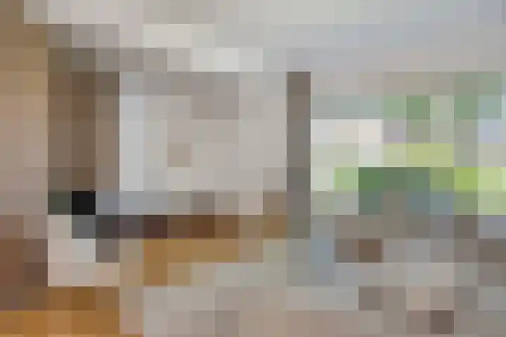 Hageheldlaan 78 Eindhoven thumbnail 11