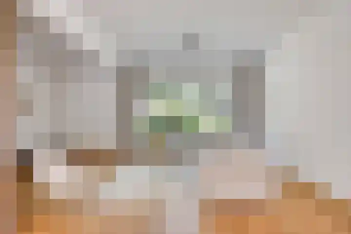Hageheldlaan 78 Eindhoven thumbnail 12
