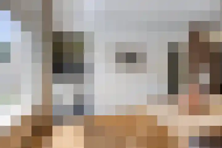 Hageheldlaan 78 Eindhoven thumbnail 16