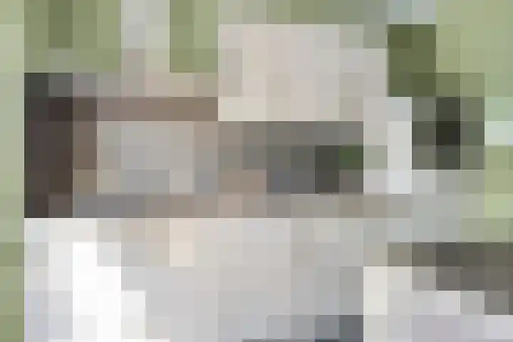 Hageheldlaan 78 Eindhoven thumbnail 17