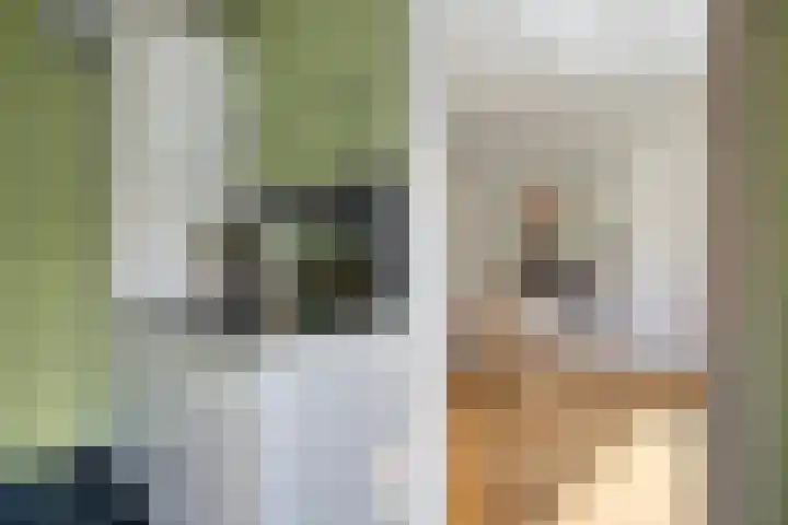Hageheldlaan 78 Eindhoven thumbnail 18