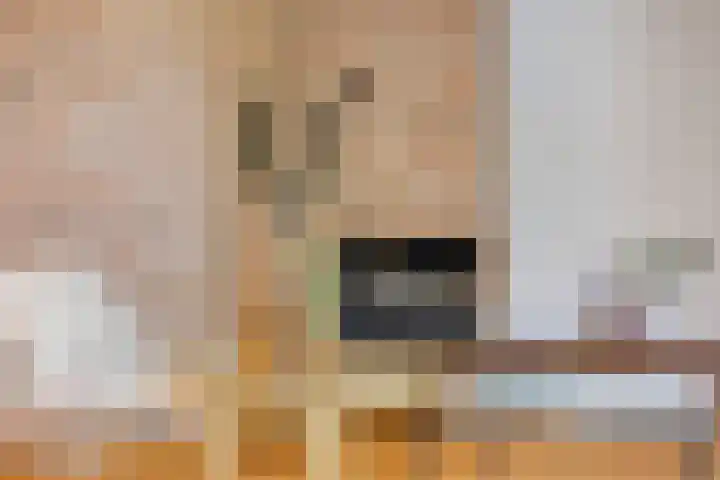 Hageheldlaan 78 Eindhoven thumbnail 20