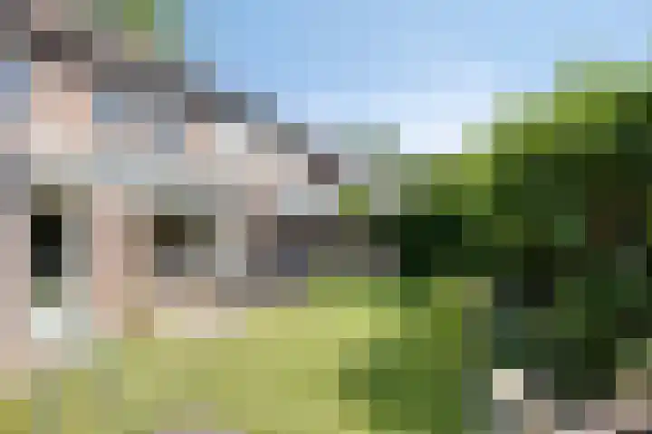 Hageheldlaan 78 Eindhoven thumbnail 35