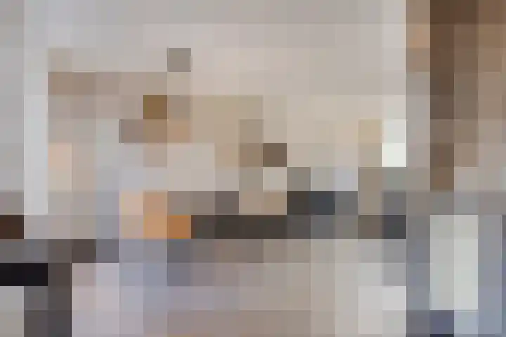 Hageldor 17 Nederweert thumbnail 12