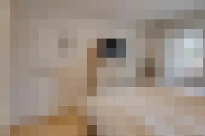 Hageldor 17 Nederweert thumbnail 17