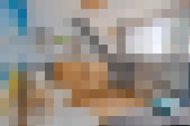 Hageldor 17 Nederweert thumbnail 18