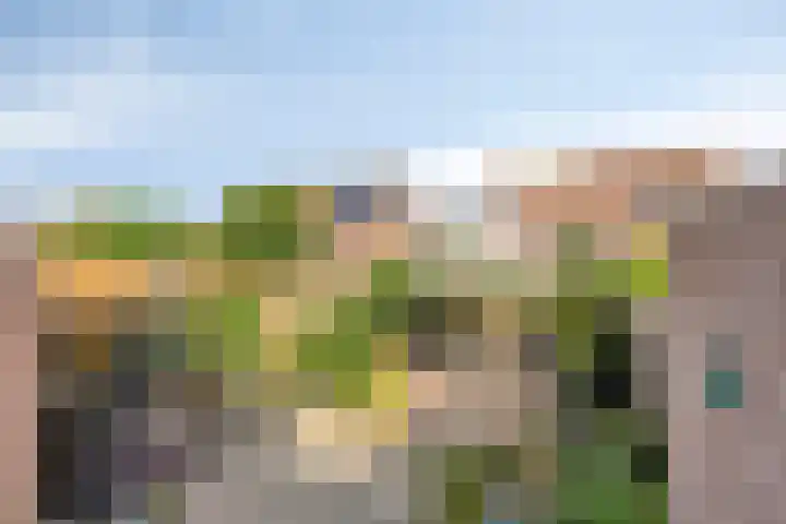 Hageldor 17 Nederweert thumbnail 25