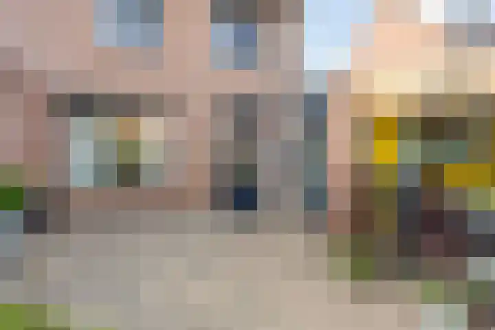 Hageldor 17 Nederweert thumbnail 26