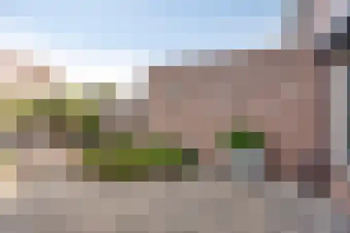 Hageldor 17 Nederweert thumbnail 27
