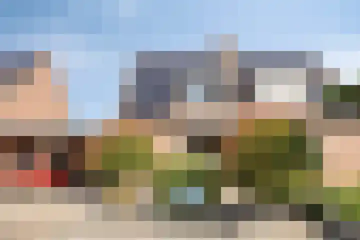Hageldor 17 Nederweert thumbnail 34
