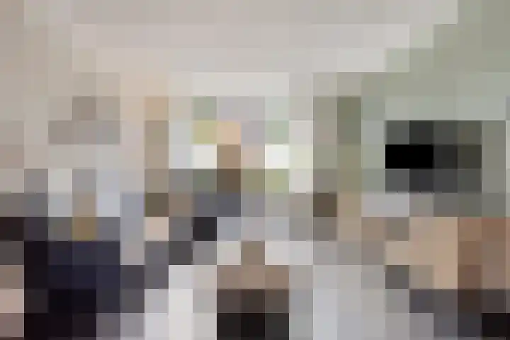 Hageldor 17 Nederweert thumbnail 7