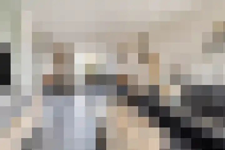 Hageldor 17 Nederweert thumbnail 8