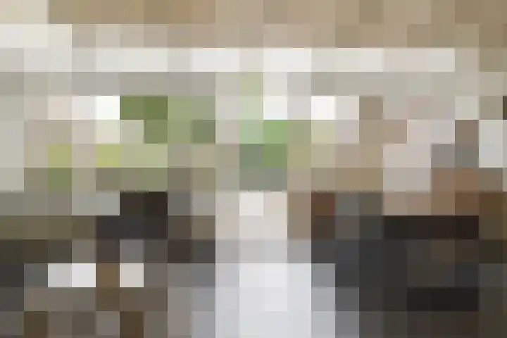 Hageldor 23 Nederweert thumbnail 13
