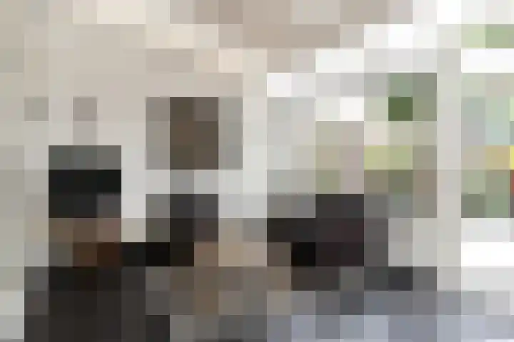 Hageldor 23 Nederweert thumbnail 14