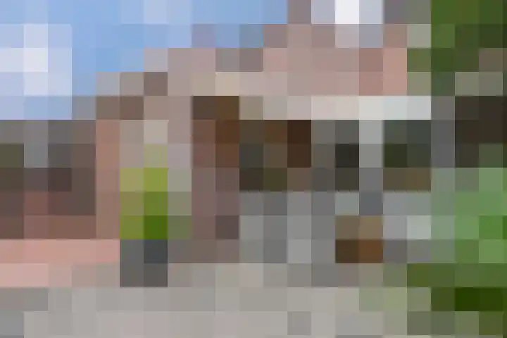 Hageldor 23 Nederweert thumbnail 25