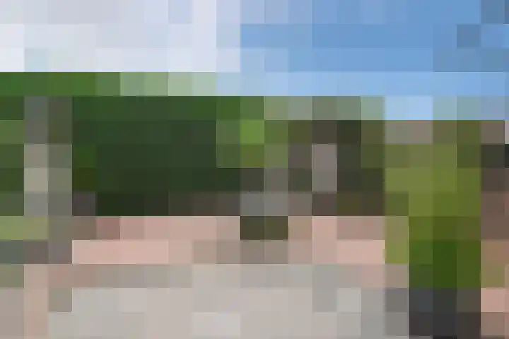 Hageldor 23 Nederweert thumbnail 26