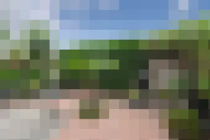 Hageldor 23 Nederweert thumbnail 27