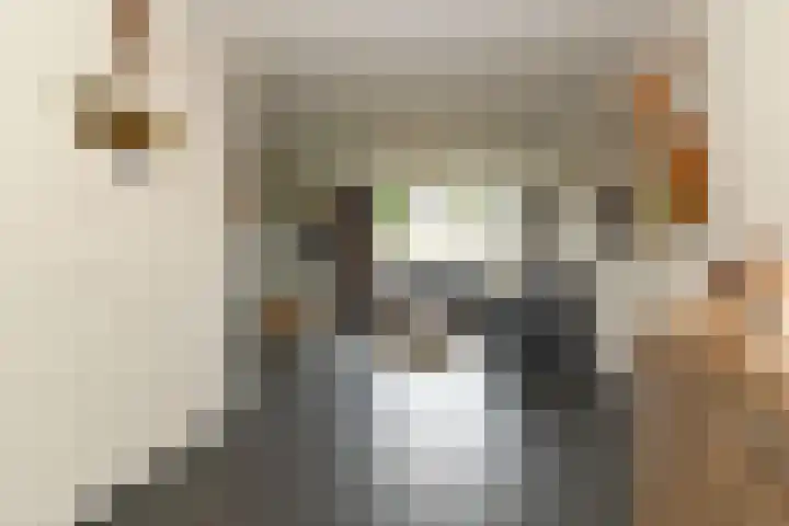 Hageldor 23 Nederweert thumbnail 8