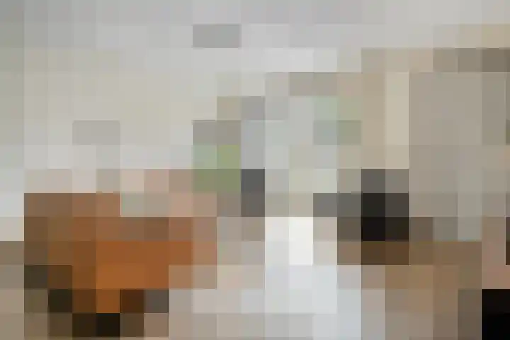 Hagelstege 13 Den Ham thumbnail 11