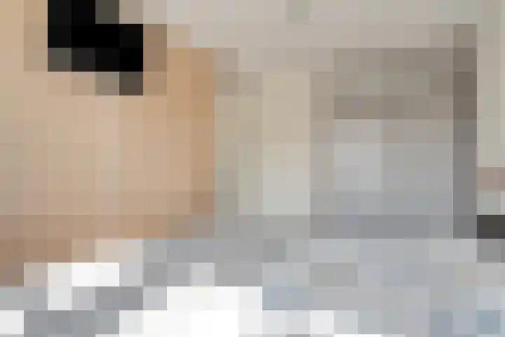 Hagelstege 13 Den Ham thumbnail 24